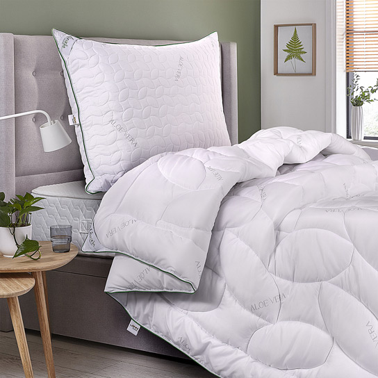 Prošívaný program