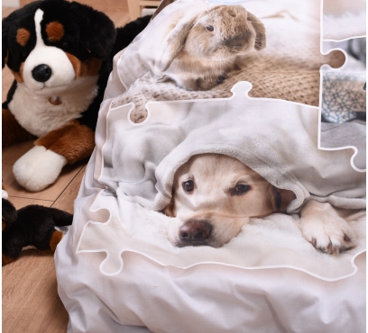 Tématická ložní souprava s motivem MAZLÍČCI (4)