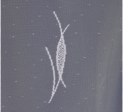 Hotová záclona žakarového typu (2)