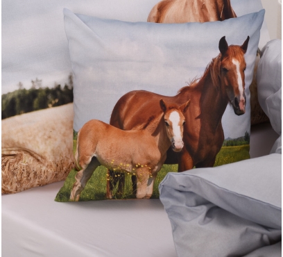Tématická ložní souprava s motivem KONĚ (1)